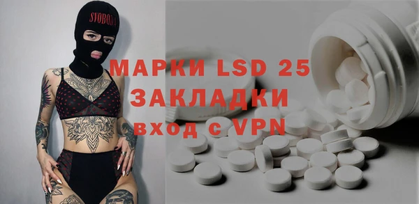 индика Верхний Тагил