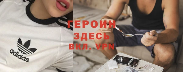 индика Верхний Тагил