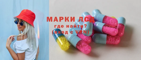 индика Верхний Тагил