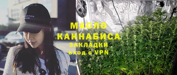индика Верхний Тагил