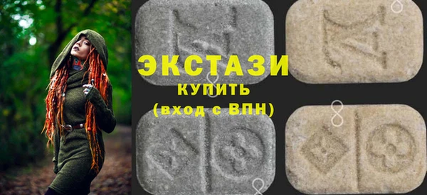 индика Верхний Тагил