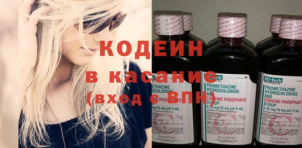 индика Верхний Тагил