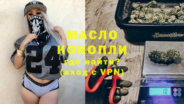 индика Верхний Тагил