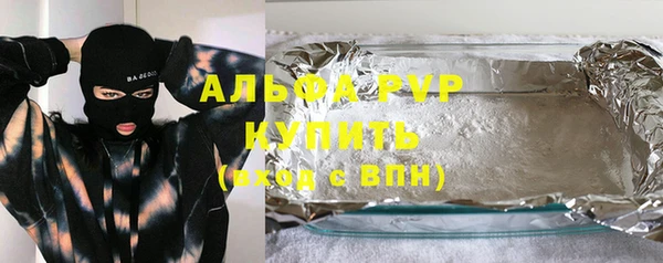 индика Верхний Тагил
