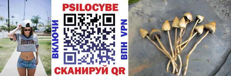 Псилоцибиновые грибы Psilocybine cubensis  Купить  Воткинск 